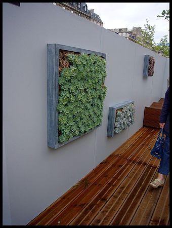 P2060124