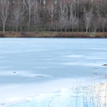 凍える湖。
