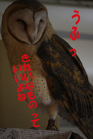 mame H21.5.30