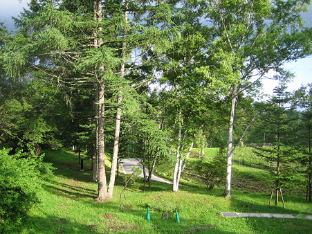 20090704_074