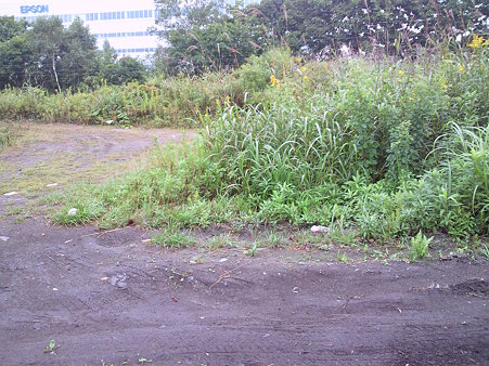 SBCA0095