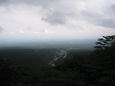 IMG_4316