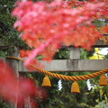 Photos: 鶏足寺02s