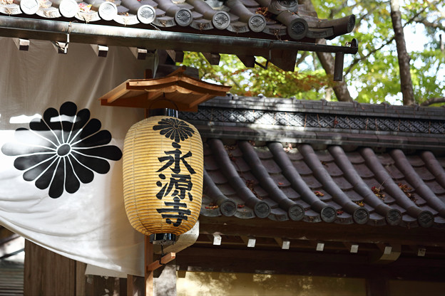 Photos: 永源寺01s