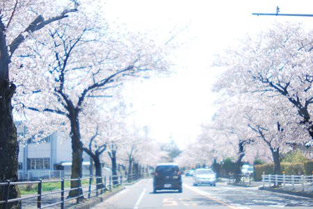 Owariasahi towards the Nagakute.