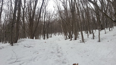 20170408_100352