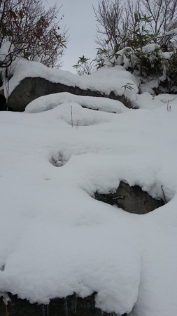 20171126_103017