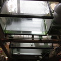 Photos: IMG_1991
