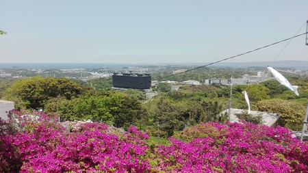 つつじの寺と武山から千葉方面へ
