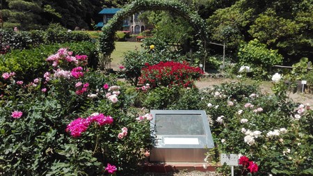 バラの庭園@鎌倉文学館