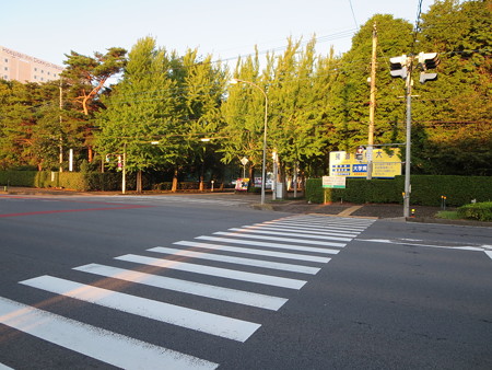 獨協医科大学