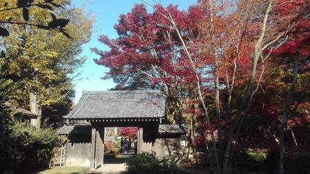 古民家の門と紅葉@町田薬師池公園