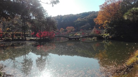 薬師池公園