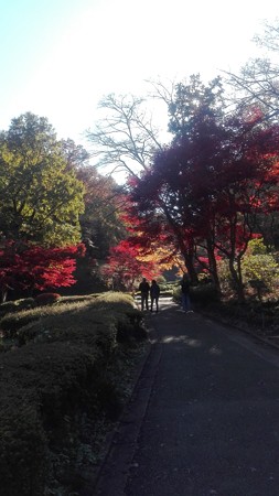 夫婦の影と光そして紅葉