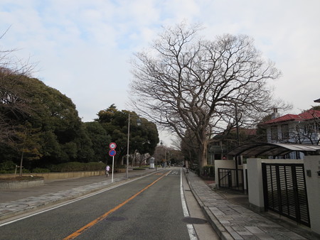 横浜山手