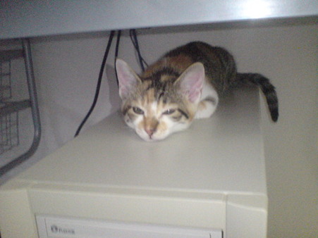 2009072301