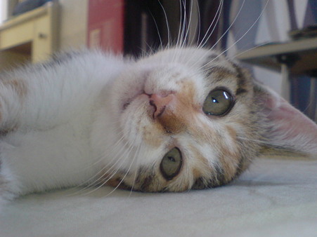20090705