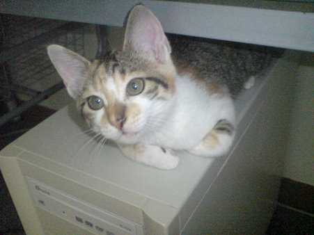 2009072702