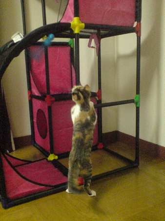 2009080501