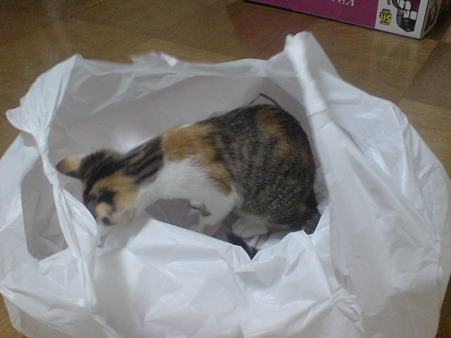2009080504