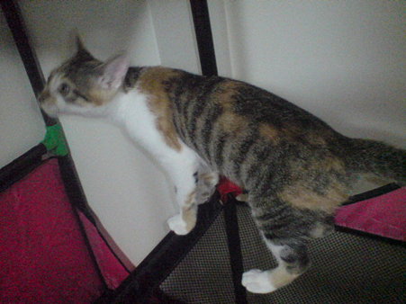 2009080602
