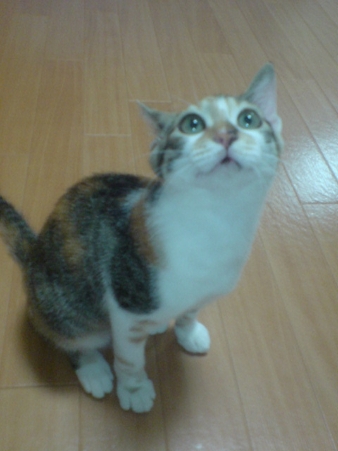 2009080701