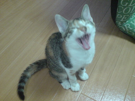 2009081005