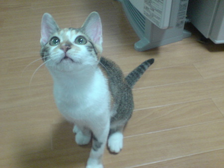 2009081301