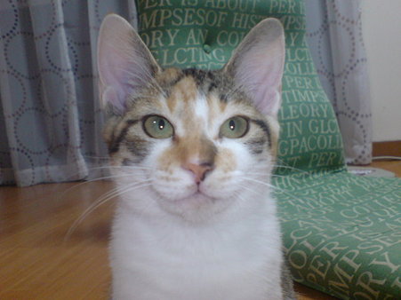 2009081402