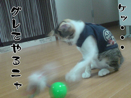 2009081805
