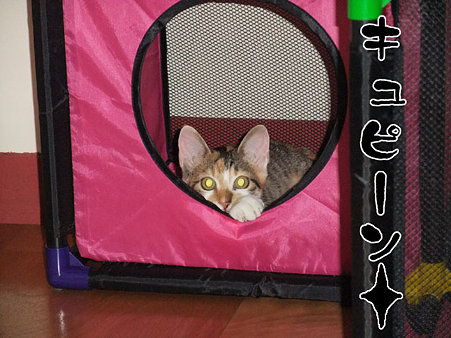 2009082004