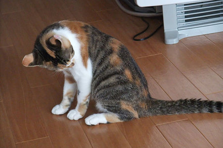 2009082402