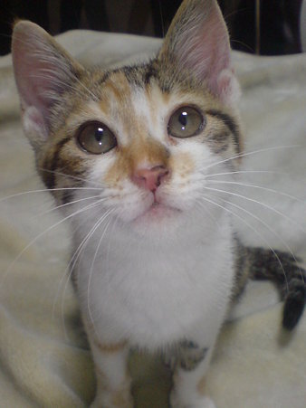 20090704