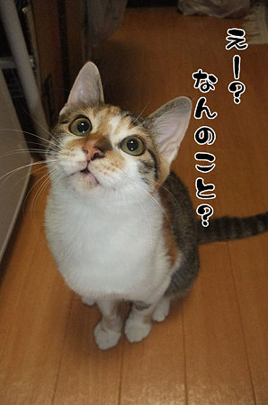2009090901