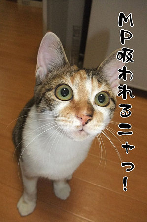 2009091103