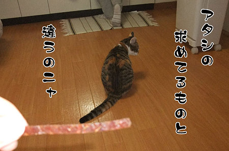 2009100601