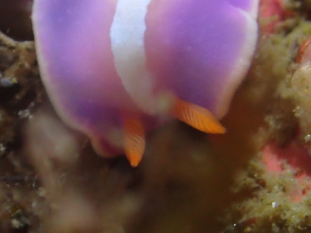 P7170080