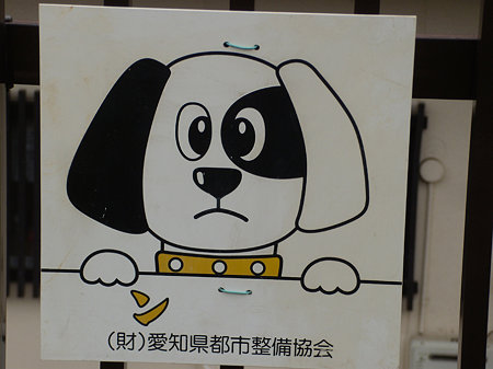DSCN6111