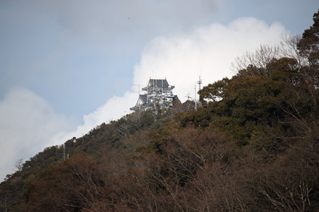 SIGMA 150-600mm その1