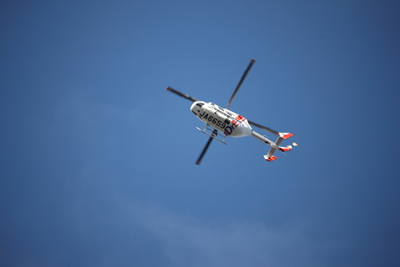 SIGMA 150-600mm その3