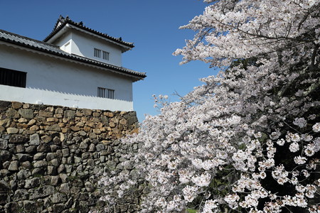 彦根城21