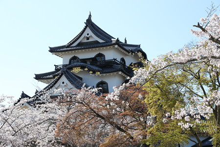 彦根城22
