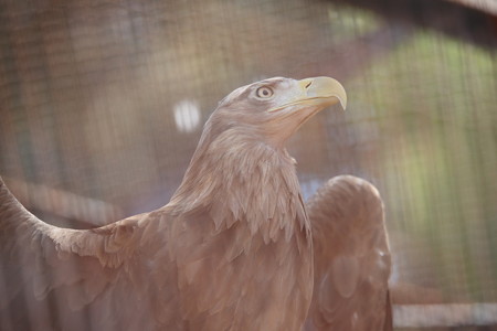 浜松市動物園8