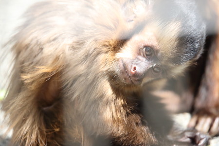 浜松市動物園21