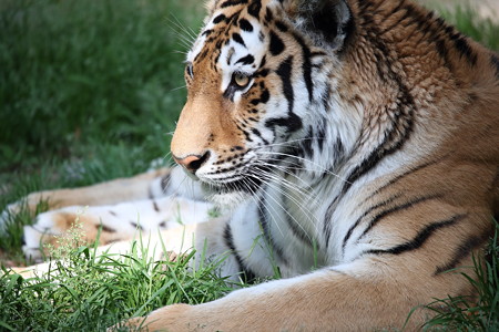 浜松市動物園40