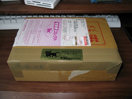 2009.07.03 ニンテンドーDS Lite(1/4)