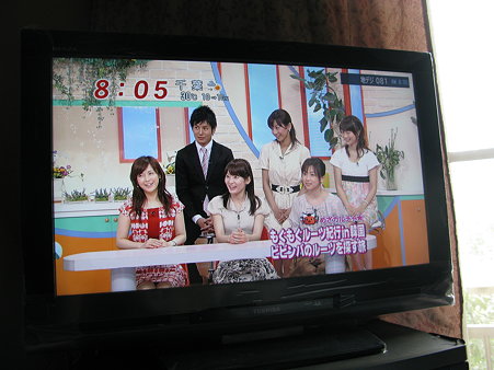 2009.07.25 32A8100 地上デジタル放送(1/11)