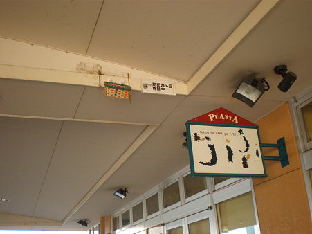 ピエスタのツバメの巣