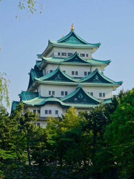 名城公園から見上げた名古屋城天守閣 - 12