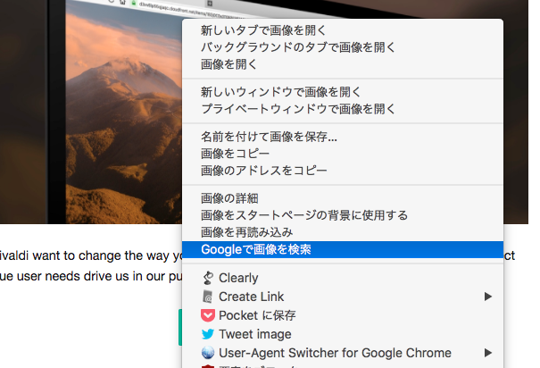 Vivaldi 1.12：正式版でも画像右クリックでGoogle画像検索可能に - 1